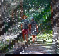 Banksia Track Burrum Coast National Park - Holiday Find