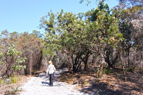 Banksia Track, Burrum Coast National Park - Holiday Find 1