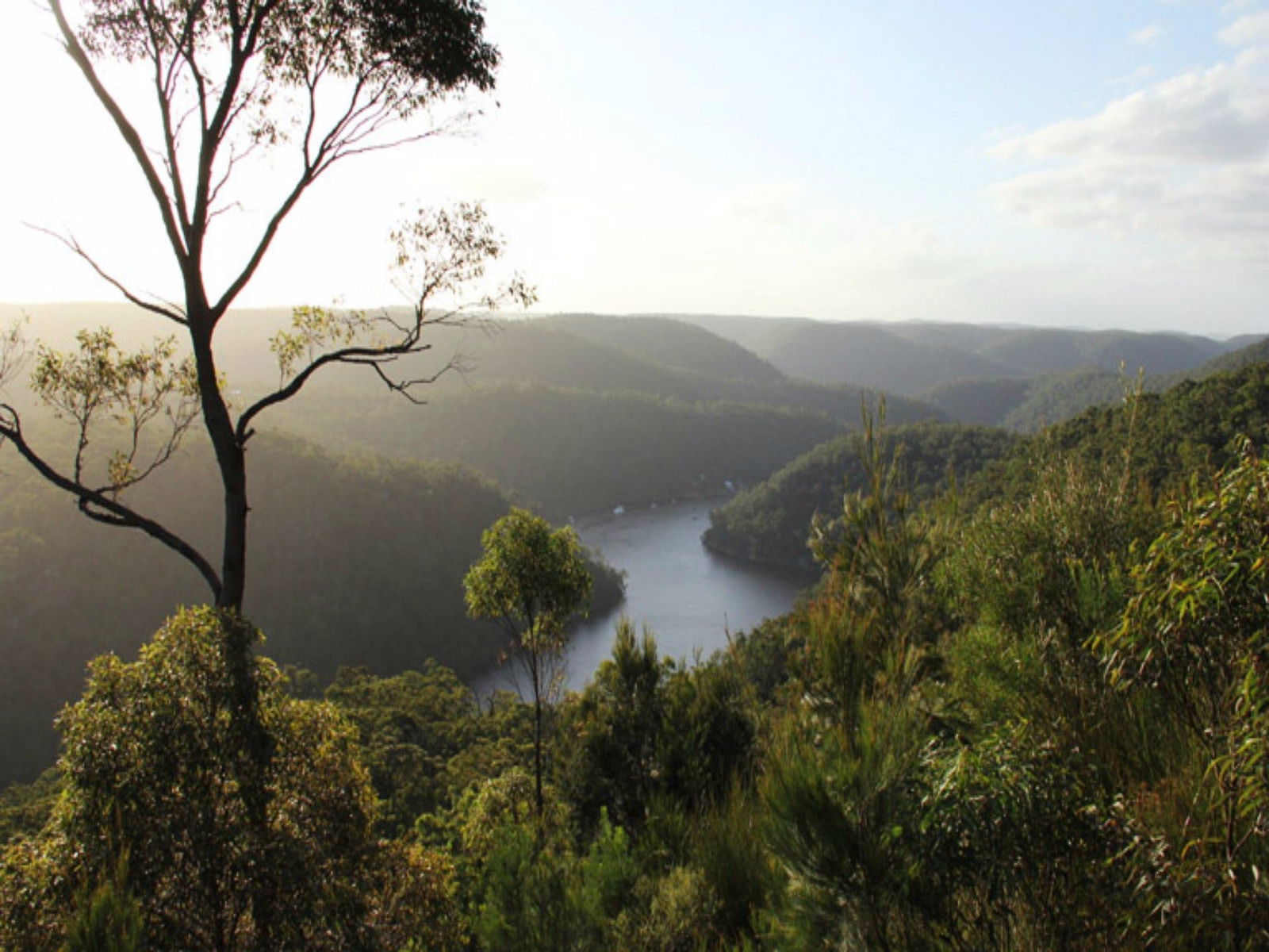 Thornleigh NSW Holiday Find