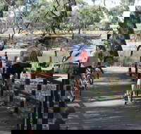 Bidgee Riverside Trail  - Hay Nature Walk - Holiday Find