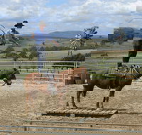 Boggy Creek Show - Holiday Find