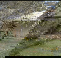 Castlemaine Diggings National Heritage Park - Holiday Find