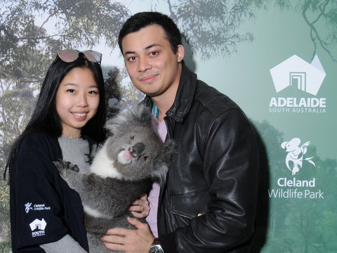 Cleland Wildlife Park - Koala Hold - Holiday Find 0