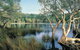 Cooloola, Great Sandy National Park - thumb 1