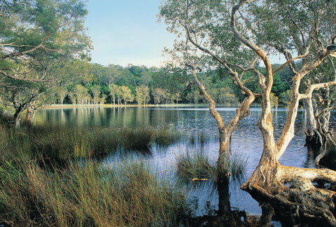 Cooloola, Great Sandy National Park - Holiday Find 1