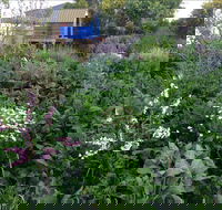 Down to Earth Permaculture - Holiday Find