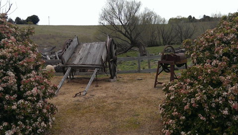Early Settlers Hut - Holiday Find 2