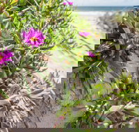 Fort Bribie - Holiday Find