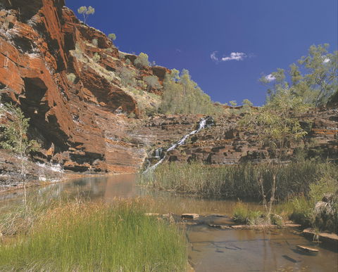Fortescue Falls - Holiday Find 1