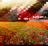 Gostwyck Chapel - Holiday Find