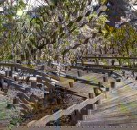 Governor Summit Corrunbral Borawah Walking Track