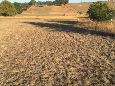 Gunning Golf Club - Holiday Find 0