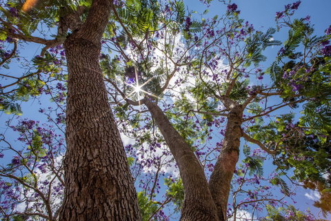 John Scott Park - Holiday Find 1