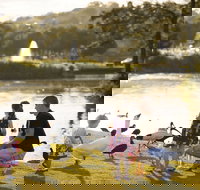 Lake Alford Recreational Park - Holiday Find