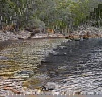 Lake Rowallan - Holiday Find