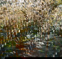 Leeuwin-Naturaliste National Park - Cowaramup - Holiday Find