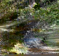 McDirtys Walking Track - Holiday Find