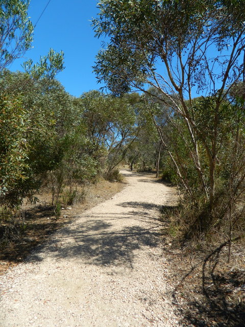 Meningie Lions Walking Trail - Holiday Find 2