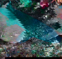 Middle Reef Dive Site - Holiday Find