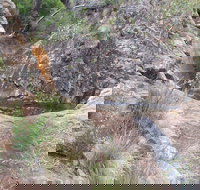 Mill-bullah Walking Track - Holiday Find