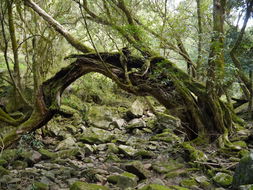 Book Bairnsdale VIC Attractions Holiday Find Holiday Find