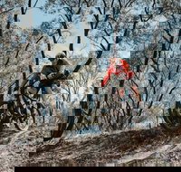 Mountain Bike Trails Deniliquin - Holiday Find