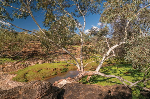 Mount Grenfell Historic Site - Holiday Find 0