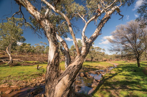 Mount Grenfell Historic Site - Holiday Find 2