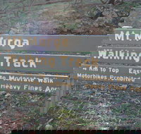 Mount Murga Walking Track - Holiday Find