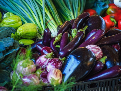 Murwillumbah Farmers' Market - Holiday Find 1