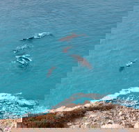Nullarbor National Park - Holiday Find