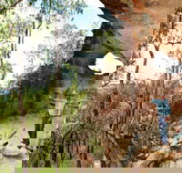 Pilliga Forest - Holiday Find