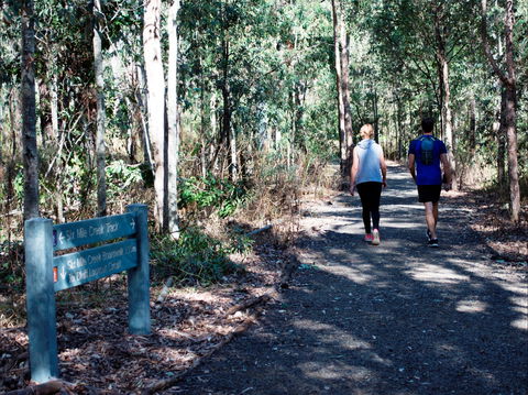 Six Mile Creek, Bluff Lookout And Little White Rock Trails - Holiday Find 2