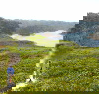 Station Creek - Holiday Find