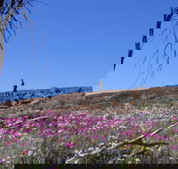 Talgomine Reserve - Holiday Find