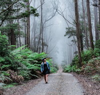 The Corn Trail Walking Track - Holiday Find