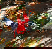 Trees Adventure - Glen Harrow Park - Holiday Find