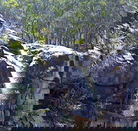 Ugly Corner Falls Walking Track