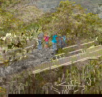 Walpole Wilderness Discovery Centre - Holiday Find