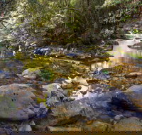 Washpool Walking Track - Holiday Find