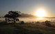 Wollumbin-Mount Warning National Park - thumb 0