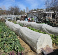 Wynlen House Tour a Unique Urban Regenerative Farm and Market Garden - Holiday Find