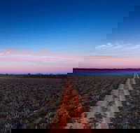 Yanga National Park - Holiday Find