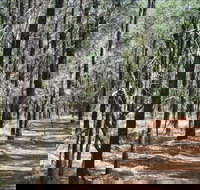 Yana-y Warruwi Walking Track - Holiday Find