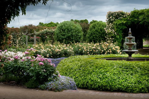 Alowyn Gardens And Nursery - Holiday Find 1