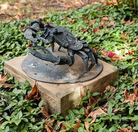 Antony Symons - Retrospective of a Life's Work - Holiday Find
