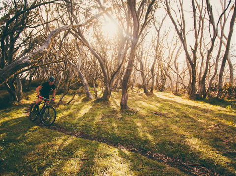 Australian Alpine Epic Mountain Bike Trail - Holiday Find 2