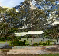 Back Creek picnic area - Holiday Find