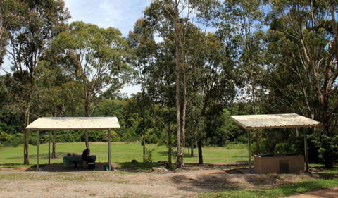 Back Creek Picnic Area - Holiday Find 0