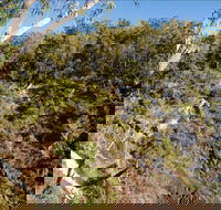 Boonoo Boonoo Falls picnic area - Holiday Find